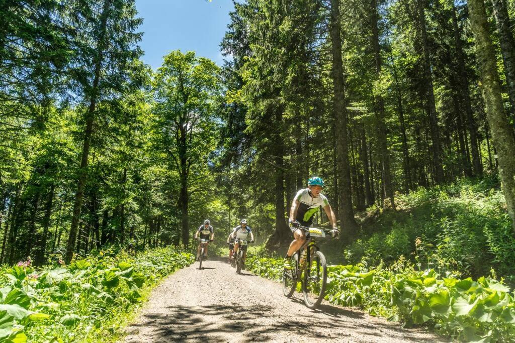 Waldoase Titisee Bagian luar foto