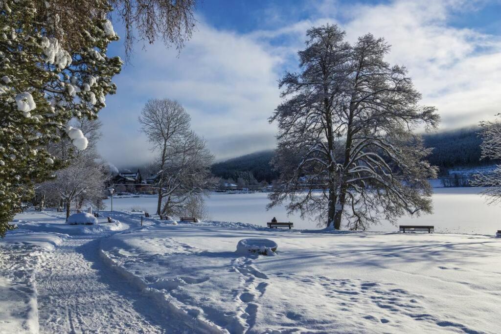 Waldoase Titisee Bagian luar foto